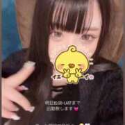 ヒメ日記 2025/06/19 10:30 投稿 せあ マリン宇都宮店