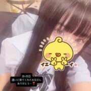 ヒメ日記 2025/06/25 14:17 投稿 せあ マリン宇都宮店