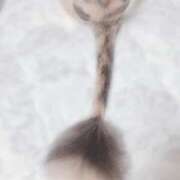 ヒメ日記 2025/08/03 17:23 投稿 みこと One More 奥様　錦糸町店