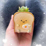 らら 明日から🙇‍♀️ YESグループ TSUBAKI FIRST