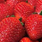 ヒメ日記 2025/05/21 17:31 投稿 はるな オトナのハンドメイド