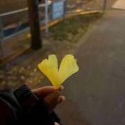 ヒメ日記 2025/12/12 12:36 投稿 あおい オトナのハンドメイド