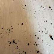 ヒメ日記 2025/12/30 12:35 投稿 あおい オトナのハンドメイド