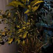 ヒメ日記 2026/03/14 19:37 投稿 あおい オトナのハンドメイド