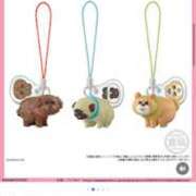 ヒメ日記 2026/04/10 19:44 投稿 あおい オトナのハンドメイド