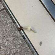 ヒメ日記 2026/04/29 00:31 投稿 あおい オトナのハンドメイド