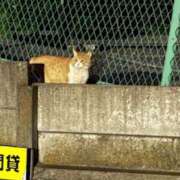 ヒメ日記 2026/06/09 16:02 投稿 あおい オトナのハンドメイド