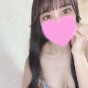 ヒメ日記 2025/05/26 21:14 投稿 ななか チューリップ福井別館