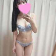 ヒメ日記 2025/06/02 13:34 投稿 ななか チューリップ福井別館