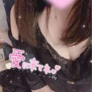 ヒメ日記 2025/05/30 09:51 投稿 るか 完全密室 無抵抗