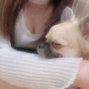 ヒメ日記 2025/08/10 13:01 投稿 るか 完全密室 無抵抗