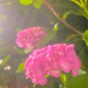 ヒメ日記 2025/06/09 09:07 投稿 永倉みく 川崎南町 素敵な奥様（川崎ハレ系）