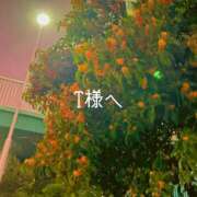 ヒメ日記 2025/11/06 10:55 投稿 永倉みく 川崎南町 素敵な奥様（川崎ハレ系）