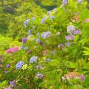 永倉みく …本日17時～… 川崎南町 素敵な奥様（川崎ハレ系）