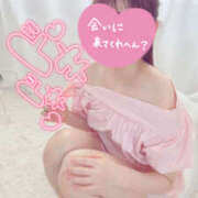 ヒメ日記 2025/08/31 14:39 投稿 めい プロフィール 京都店