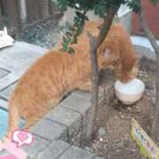 ヒメ日記 2025/10/03 12:01 投稿 さくら 完熟ばなな 上野店