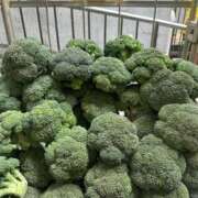 ヒメ日記 2025/08/02 06:58 投稿 みづき Fの法則