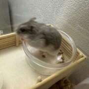 ヒメ日記 2025/08/21 14:16 投稿 みづき Fの法則