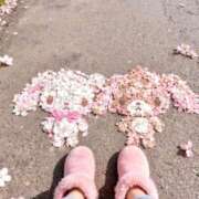 ヒメ日記 2026/04/02 23:24 投稿 みづき Fの法則