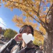 なつき 今年こそは花見に?！！あと出勤してます！！ 錦糸町人妻ヒットパレード（シンデレラグループ）