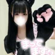 ヒメ日記 2025/07/05 05:40 投稿 なの 若葉