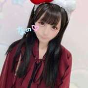 ヒメ日記 2025/07/09 05:45 投稿 なの 若葉