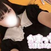 ヒメ日記 2025/07/10 05:47 投稿 なの 若葉