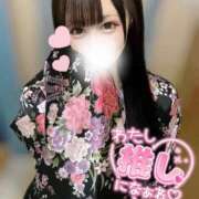 ヒメ日記 2025/07/22 13:55 投稿 なの 若葉