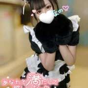 ヒメ日記 2025/07/23 05:42 投稿 なの 若葉