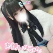 ヒメ日記 2025/07/30 22:15 投稿 なの 若葉