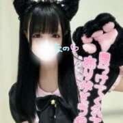 ヒメ日記 2025/08/08 14:25 投稿 なの 若葉