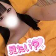 ヒメ日記 2025/09/05 05:35 投稿 なの 若葉