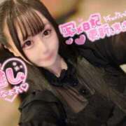 ヒメ日記 2025/09/06 05:46 投稿 なの 若葉