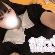 ヒメ日記 2025/09/11 05:45 投稿 なの 若葉