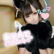 ヒメ日記 2025/09/12 05:35 投稿 なの 若葉