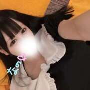 ヒメ日記 2025/09/28 15:15 投稿 なの 若葉