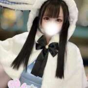 ヒメ日記 2025/09/30 05:45 投稿 なの 若葉