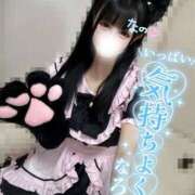 ヒメ日記 2025/10/02 23:15 投稿 なの 若葉