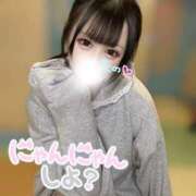 ヒメ日記 2026/01/12 09:06 投稿 なの 若葉