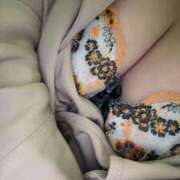 ヒメ日記 2025/10/05 21:47 投稿 宮崎あゆ 全裸革命orおもいっきり痴漢電車