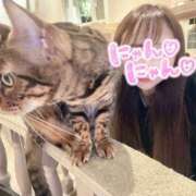 ヒメ日記 2025/06/24 19:30 投稿 あいり MINT（ミント）