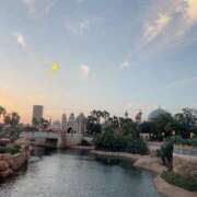 ヒメ日記 2026/02/24 19:46 投稿 あいり MINT（ミント）