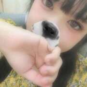 ヒメ日記 2025/08/27 10:13 投稿 みく 新宿本店 ぽちゃカワ女子専門店