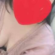 ヒメ日記 2026/05/12 19:54 投稿 みく 新宿本店 ぽちゃカワ女子専門店