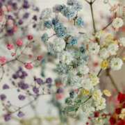 ヒメ日記 2025/07/02 15:07 投稿 かんな 東京人妻セレブリティ（ユメオト）