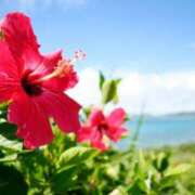 ヒメ日記 2025/07/18 13:11 投稿 かんな 東京人妻セレブリティ（ユメオト）