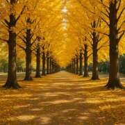 かんな 🍂 東京人妻セレブリティ（ユメオト）