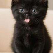 ヒメ日記 2025/10/16 23:22 投稿 そのみ 吉祥寺おかあさん