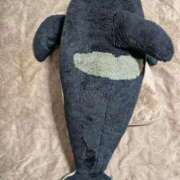 ヒメ日記 2025/10/28 23:12 投稿 そのみ 吉祥寺おかあさん