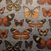 ヒメ日記 2026/01/12 11:52 投稿 そのみ 吉祥寺おかあさん